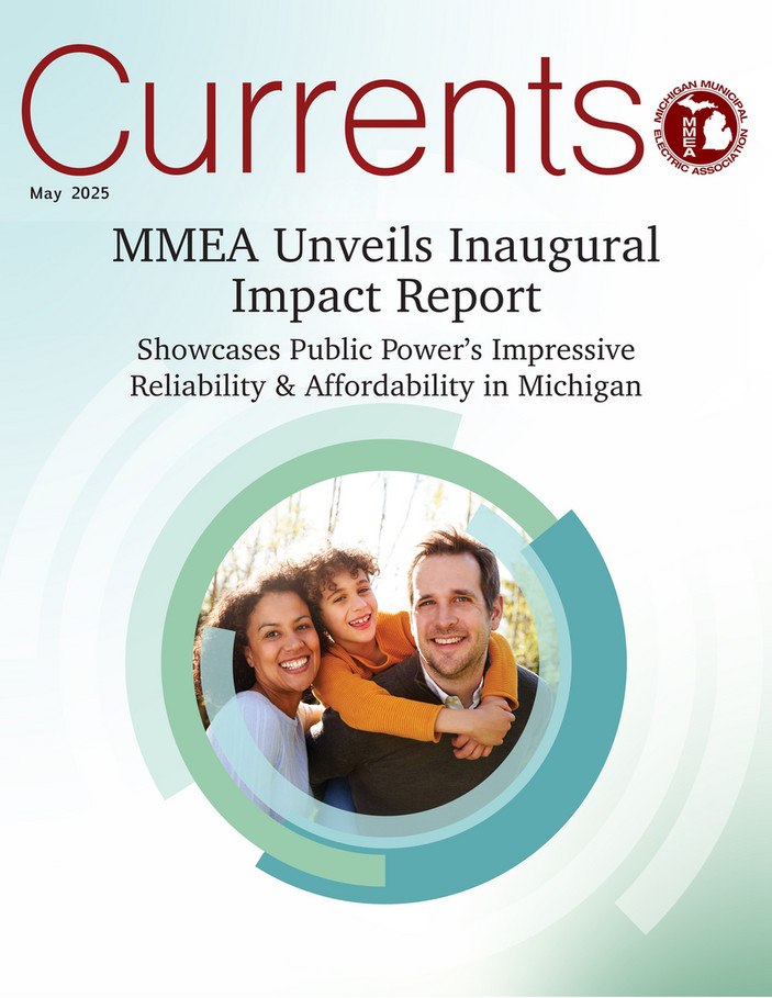 MMEA Valuation Studies Cover
