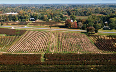 Quantifying the Community Benefit of Michigan Public Power: A Case Study with MMEA